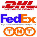 Entrega expressa econômica de DHL UPS TNT da China a Bolívia